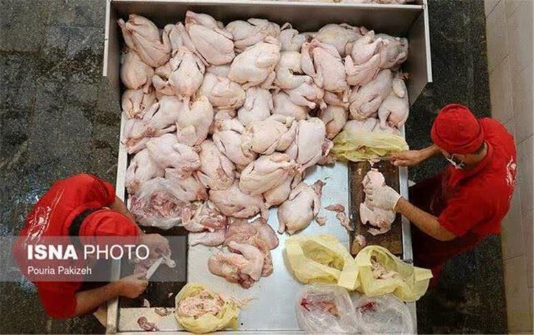جریمه سنگین برای مرغ‌فروش متخلف در همدان