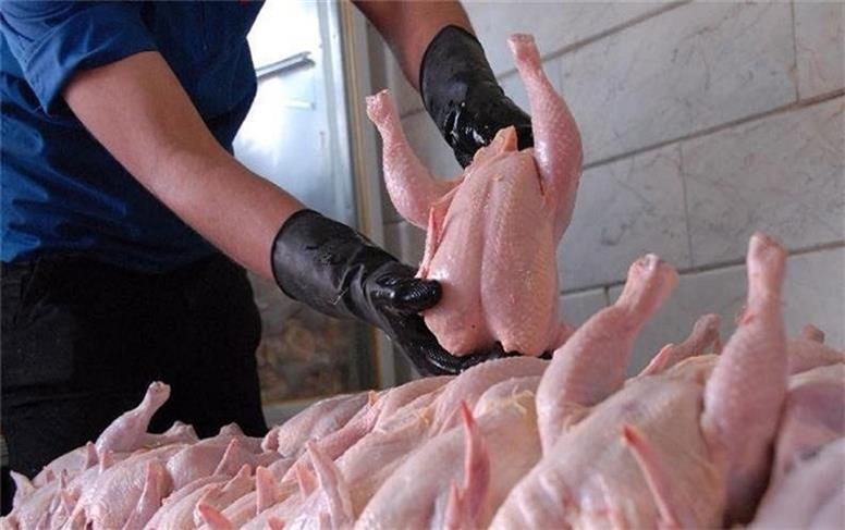 محکومیت یک میلیارد و ۸۳۳ میلیون ریالی مرغ فروش متخلف در همدان
