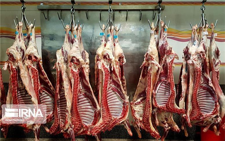 ۸۰ درصد گوشت قرمز استان در دامداری‌های کوچک تولید می‌شود