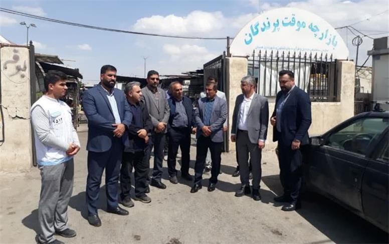 شهرداری بازارچه موقت پرندگان همدان را منتقل کند