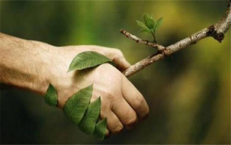 حفظ محیط زیست از اولویت‌های اصلی شهرداری است