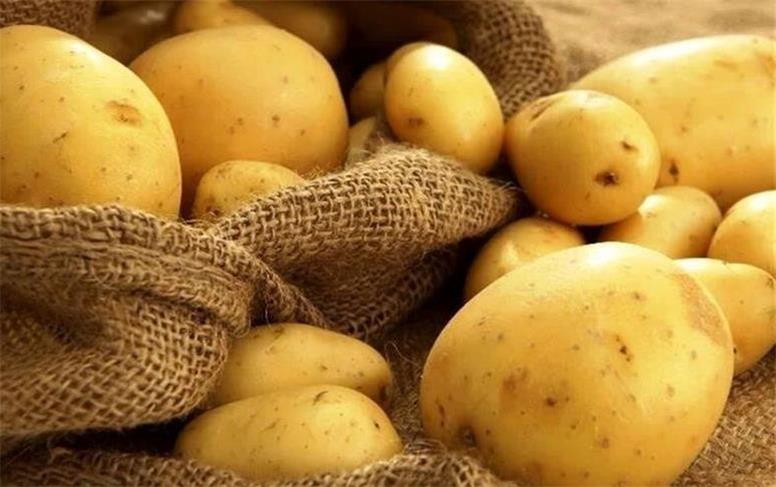 محکومیت ۹۸ میلیارد ریالی برای عدم ثبت کالا در سامانه جامع انبارها
