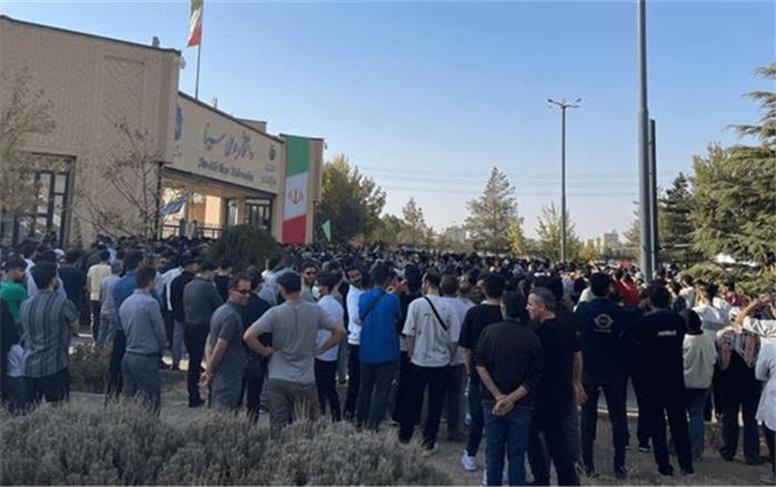 بدون تعارف ادب‌شان کنید!