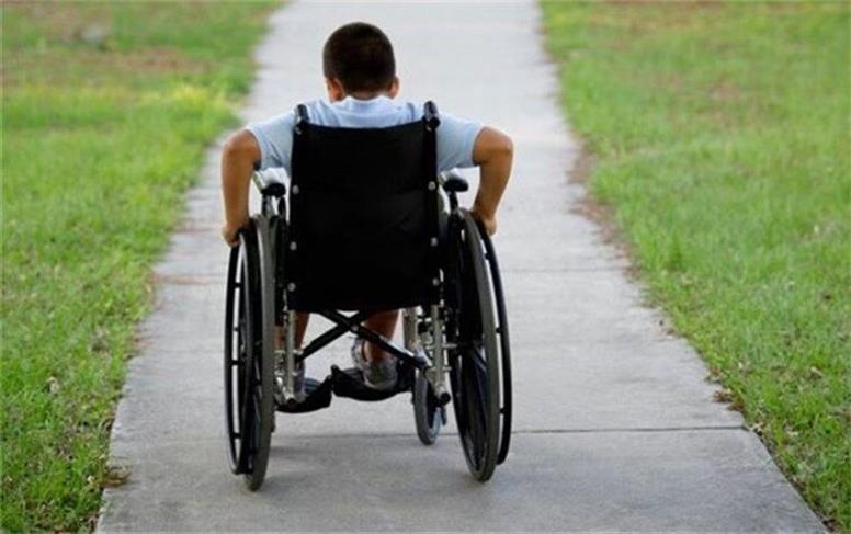 ارائه خدمات به بیش از ۴ هزار خانوار دارای معلول تحت پوشش بهزیستی نهاوند