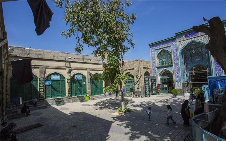میراث‌فرهنگی همدان نسبت به خطر نابودی درخت کهنسال شاهزاده حسین(ع) هشدار داد
