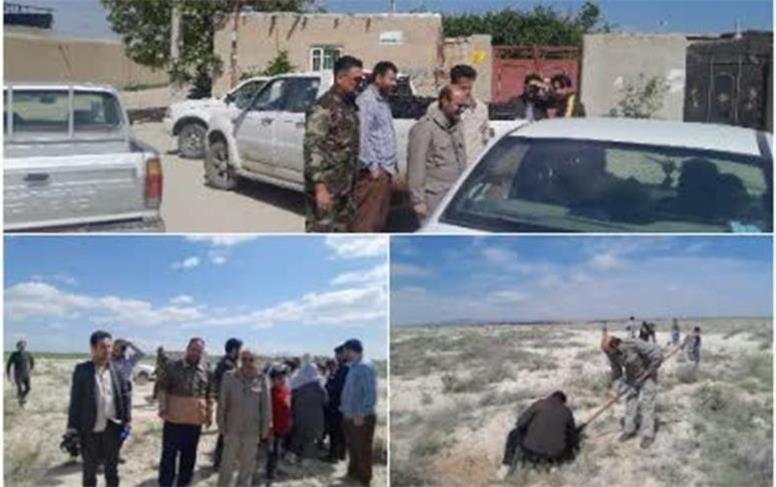 آغاز کاشت گیاهان دارویی در کانون‌های گرد و غبار کبودرآهنگ