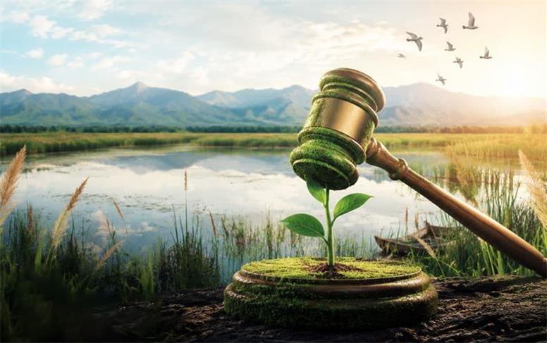 ۵۴۰ ساعت خدمت محیط‌زیستی؛ جایگزین حبس در اسدآباد
