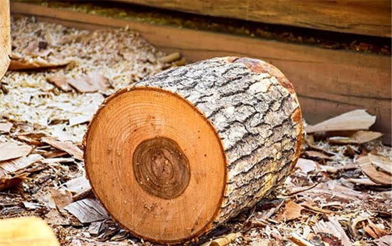 صدور حکم ۴۰۰ میلیون ریالی برای نجار متخلف در ملایر