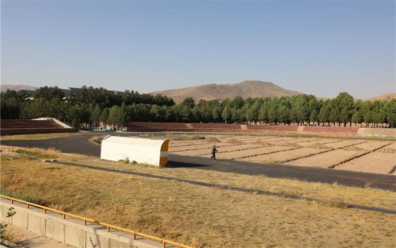 آغاز بازسازی اساسی چمن علیمرادیان نهاوند