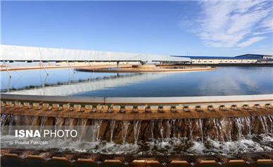 بهبود طعم و بوی آب‌ همدان برعهده آبفا و آب منطقه‌ای است