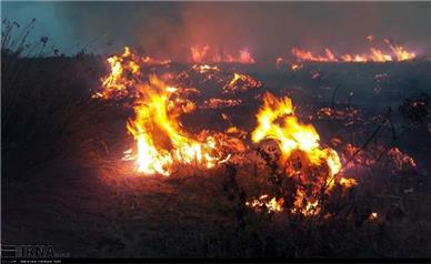 ۳۰۰ هکتار از مراتع خان‌گرمز طعمه حریق شد
