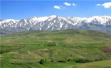 مشاهده و شناسایی خرس در منطقه گرین