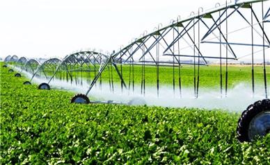 شتاب‌گیری توسعه کشاورزی همدان با تکیه بر فناوری‌های نوین