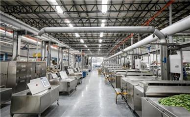 همدان پیشتاز صنایع تبدیلی: ۵ میلیون تن ظرفیت فرآوری و بیش از ۱۰ هزار شغل