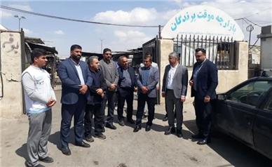 شهرداری بازارچه موقت پرندگان همدان را منتقل کند