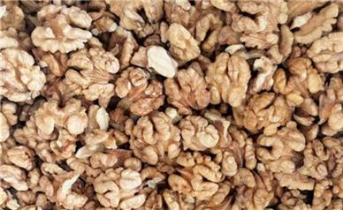 محکومیت بیش از ۳ میلیارد ریالی قاچاقچی مغز گردو در کبودرآهنگ