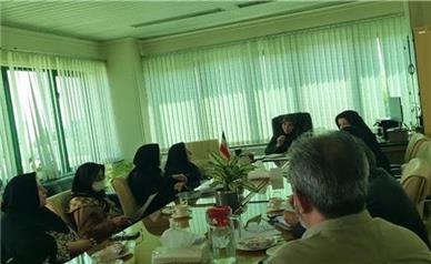 تشکل‌های مردمی بازوان پرقدرت مشورتی و فرهنگی حاکمیت هستند