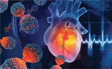 راه‌اندازی بخش کاردیوآنکولوژی در بیمارستان قلب فرشچیان؛ پنجمین مرکز تخصصی کشور در همدان فعال شد