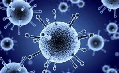 افزایش موارد آنفلوانزا در همدان؛ ۲۴ درصد بیماران تنفسی مبتلا هستند