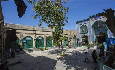 میراث‌فرهنگی همدان نسبت به خطر نابودی درخت کهنسال شاهزاده حسین(ع) هشدار داد