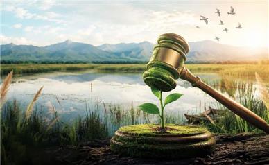 ۵۴۰ ساعت خدمت محیط‌زیستی؛ جایگزین حبس در اسدآباد