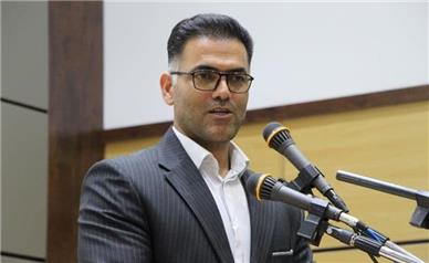 رازیانه، فرصت طلایی اقتصاد کشاورزی رزن
