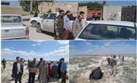 آغاز کاشت گیاهان دارویی در کانون‌های گرد و غبار کبودرآهنگ