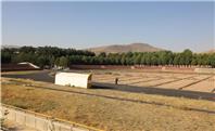 آغاز بازسازی اساسی چمن علیمرادیان نهاوند