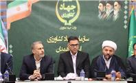 سیب‌زمینی همدان از مزرعه تا بازار؛ ۱۵۰ هزار تن محصول هنوز روی زمین است